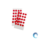 La Onda Skate RUBY - Dots